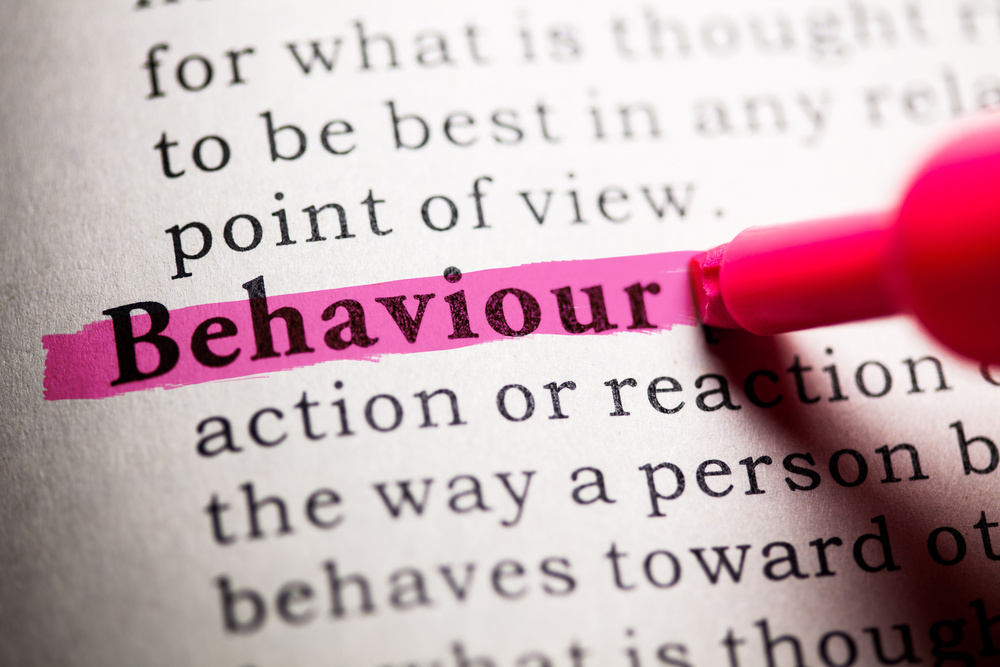 Fake Dictionary, Dictionary definition of the word behaviour.