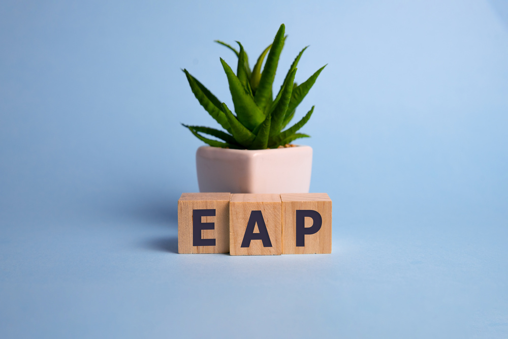 Employee assistance program EAP sign on wooden cubes.