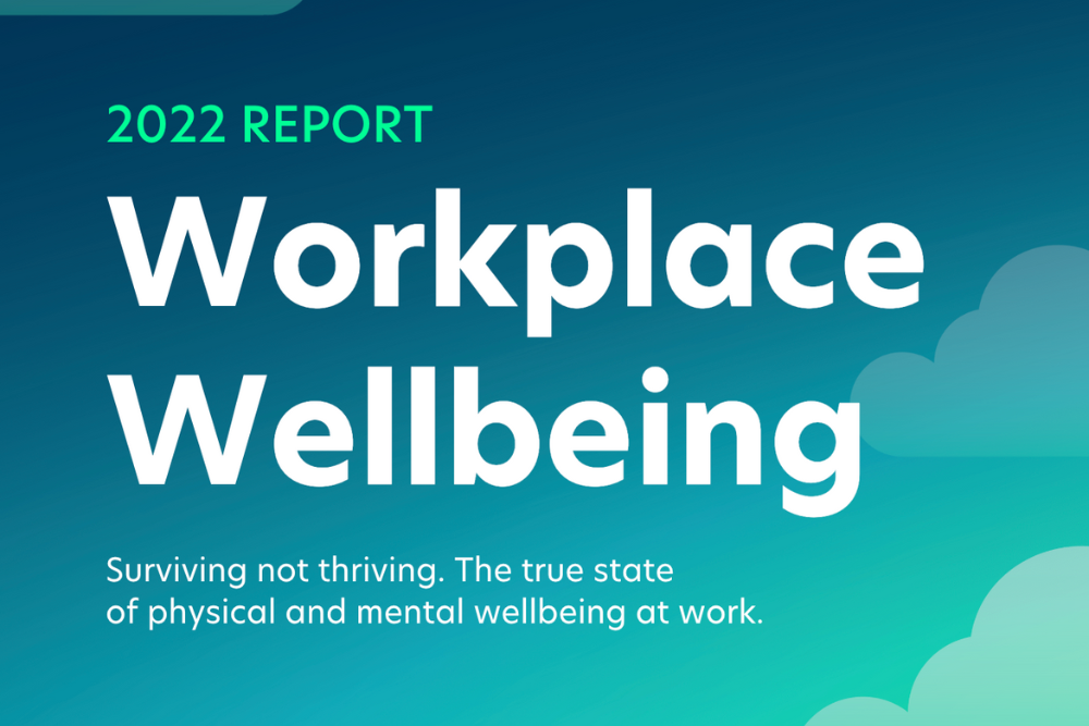 Magic Mountain: Workplace Wellbeing Report 2022