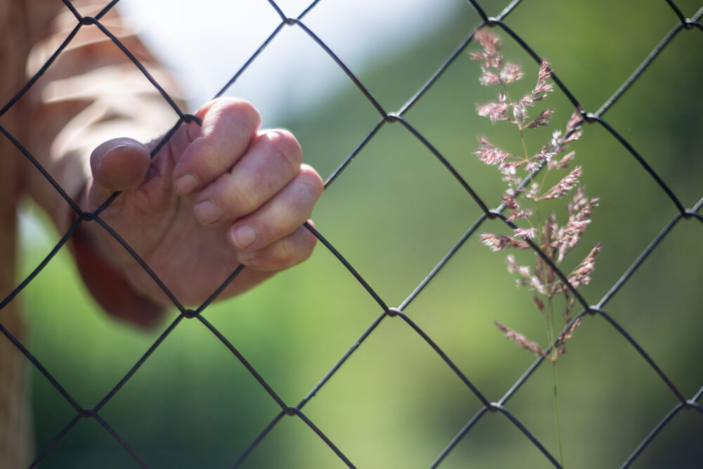 An elderly woman's hand holds the mesh of an iron fence. The old man is locked up and cannot get out. Quarantine measures prohibit leaving the house. A sprout grows on the right.